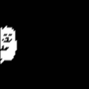 久久国产精品福利影集
